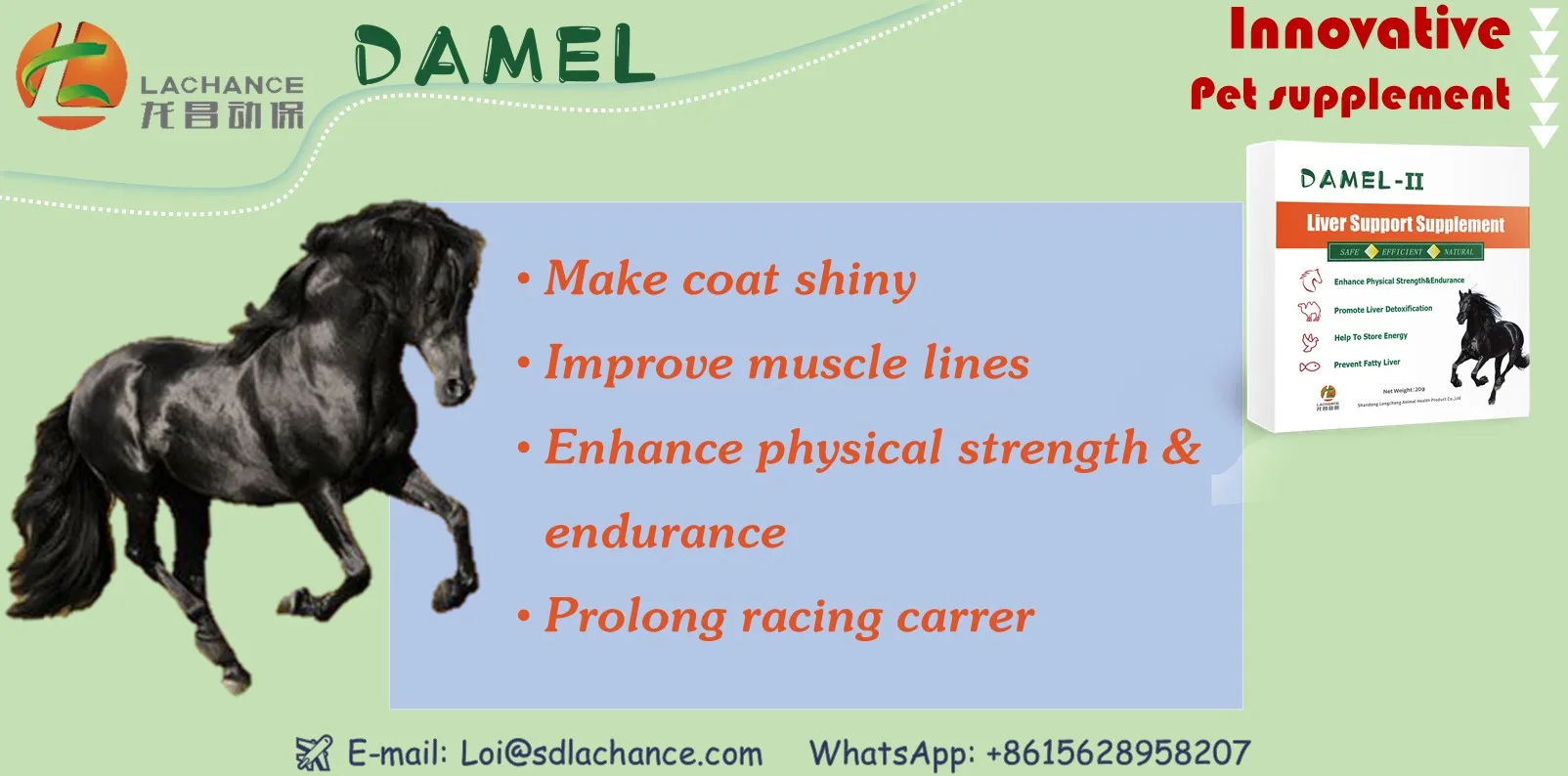 Horse feed additive--promote liver detoxification and reduce the liver burden | increased endurance | suitable for horses racing