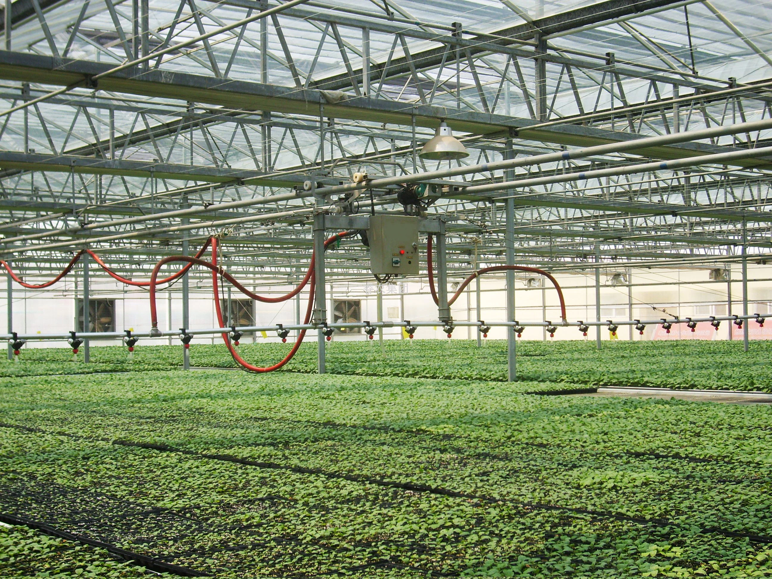High-efficiency irrigation machine Greenhouse Mobile Sprinkling irrigation System