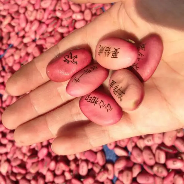 Office Green Landscape Planting Magic Beans