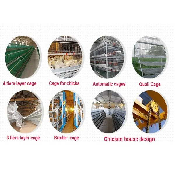 design poultry chicken battery cage