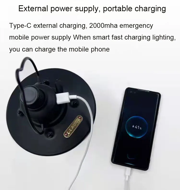 Popular metal Led Camping Lights Portable Dimmable Outdoor Led white kerosene Oil Lamp Camping Lantern for party festival