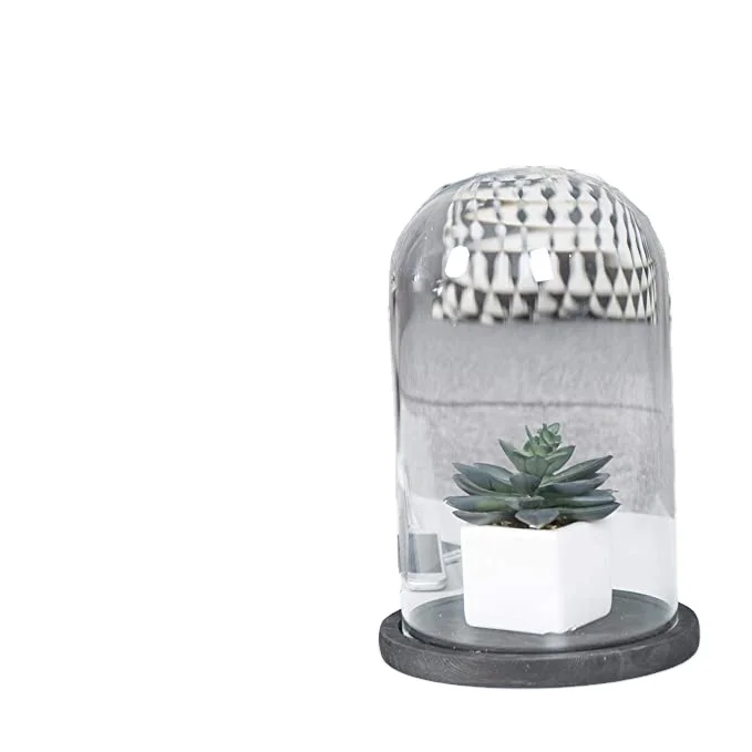 
large clear glass dome wholesale suppliers glass dome with wooden base 
