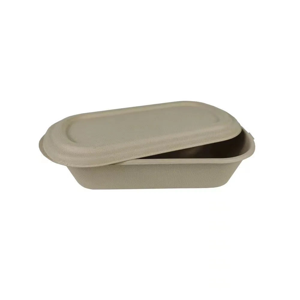 Disposable Biodegradable Plant Fiber Sugarcane Bagasse Paper Pulp Molding Salad Containers Bowls