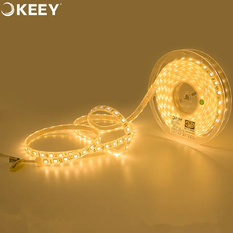 2020 high brightness keey waterproof 60w high quality soft led light strip flexible outdoor smart led light strip DD603