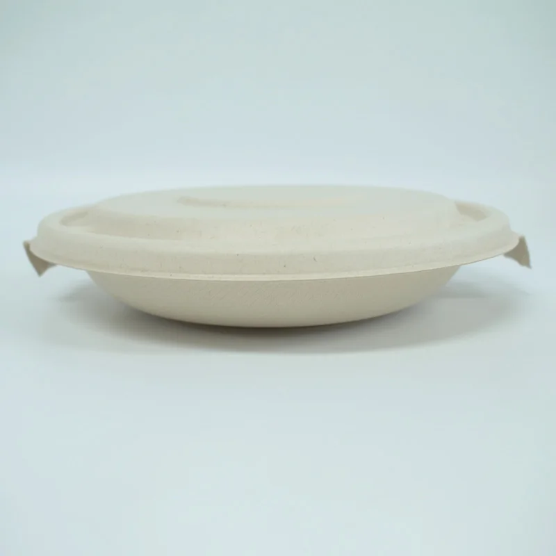 Natural Degradable Compostable Take Out Food Bento Container Box Biodegradable Disposable Sugarcane Bagasse Bowl