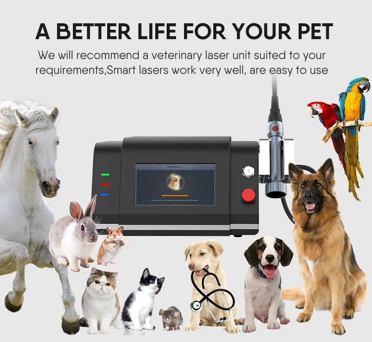 Rheinlaser Smart Low Level Laser Therapy 635Nm 808Nm 915Nm 980Nm Treatment Laser Therapy For Wrist Pain