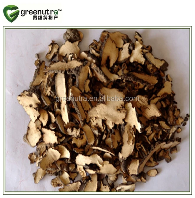 Grifola Umbellate Extract