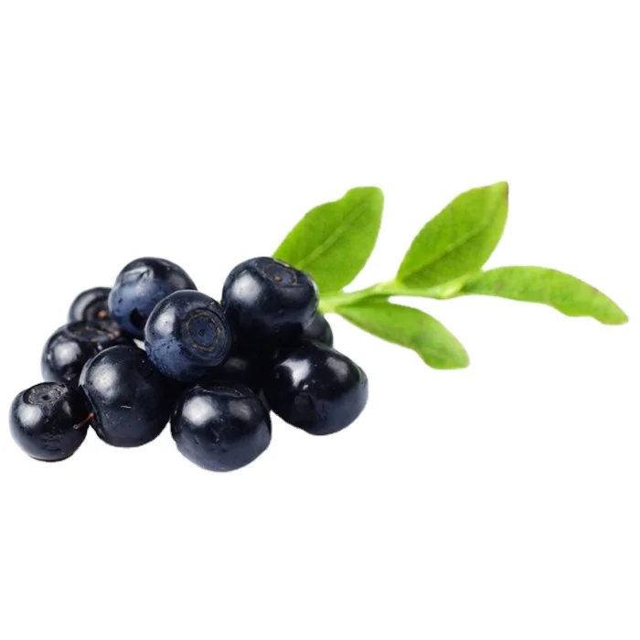 
High quality frozen berries blueberry frozen blueberry pie recipe using frozen berries from China factory 