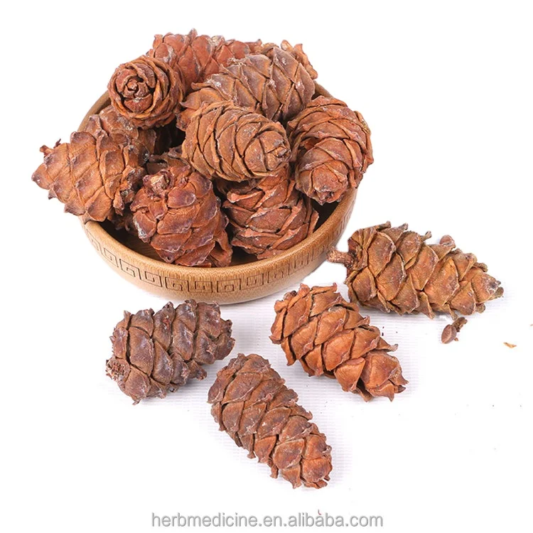 song guo Natural whole fruit shell seeds removed empty dried Pine Cone for decoration