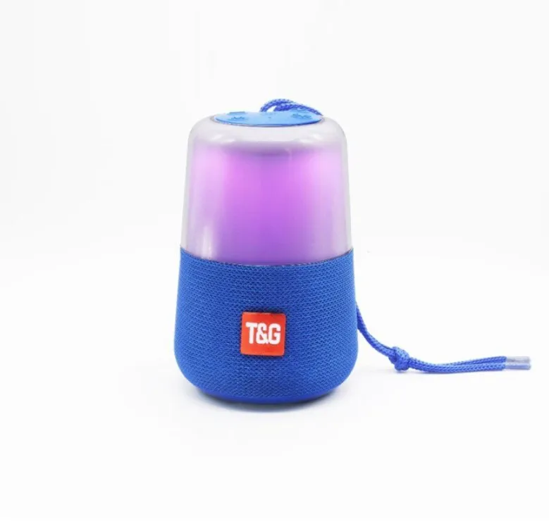 T&G radio speaker  Cheap price china factory supply  portable mini FM radio receiver with wireless USB speaker TG168