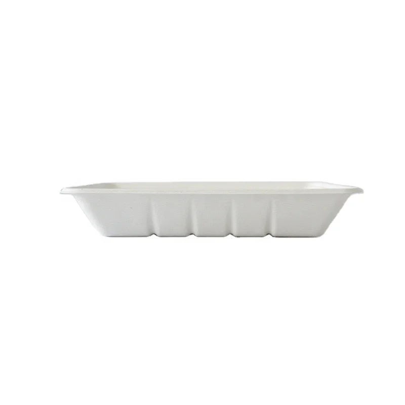 PFAS Free Disposable Sugarcane  rectangle  plant Sugarcane Bagasse Tableware Vegetable Fruit Meat Packaging Plate Tray T4