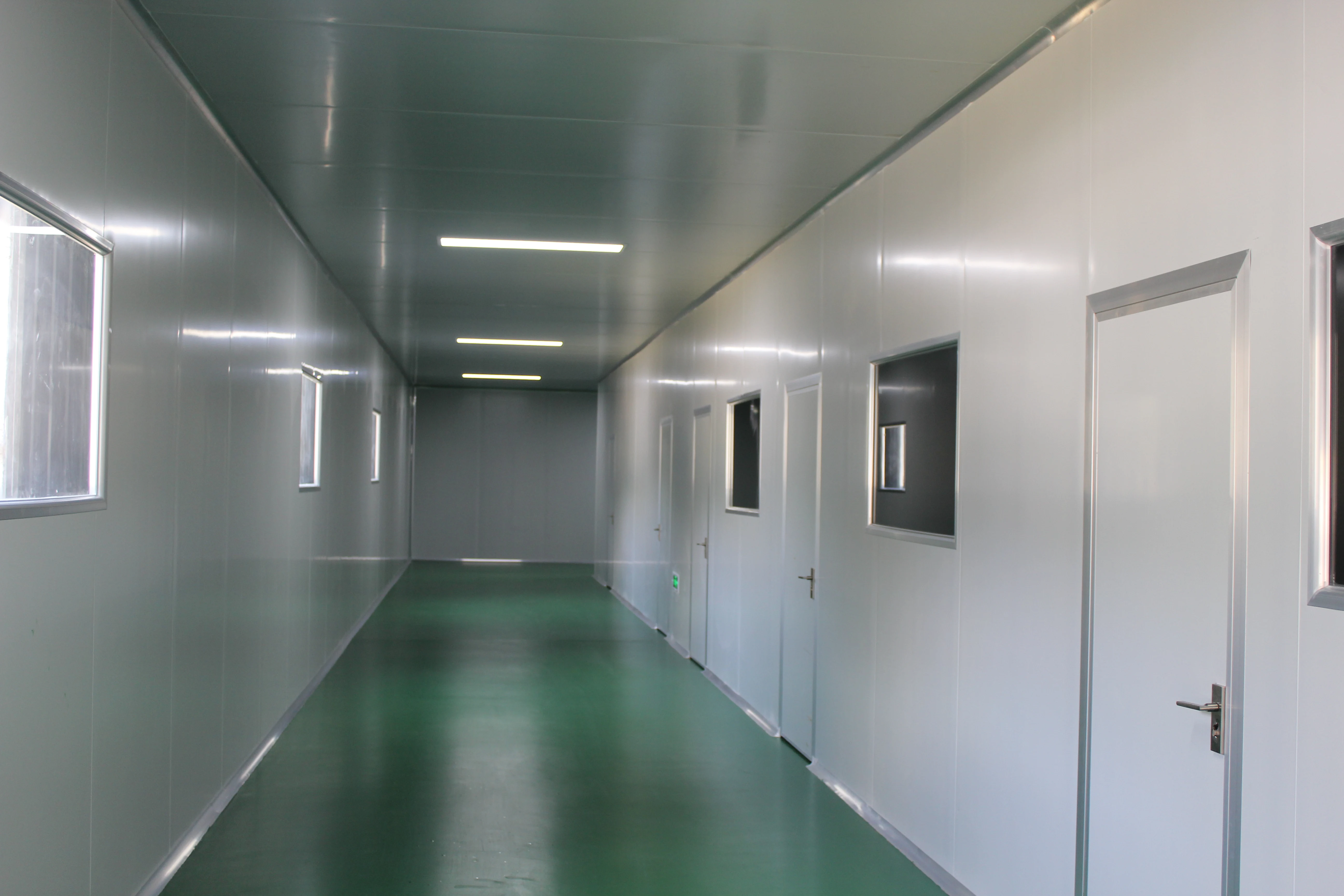 
hot sale dried shiitake mushroom organic heathy 