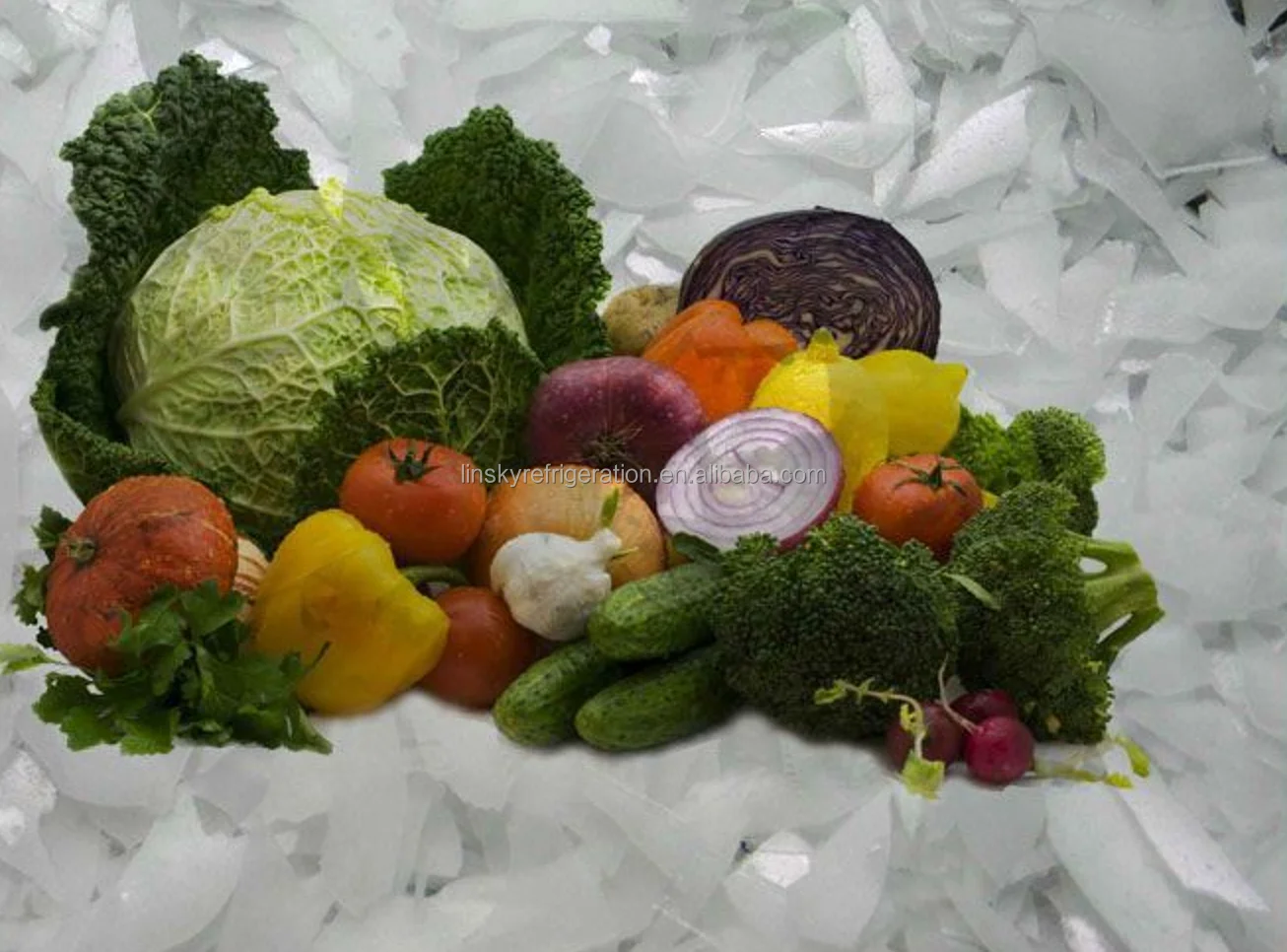 Ice maker 3000kg /24 hours seawater Marine ice maker