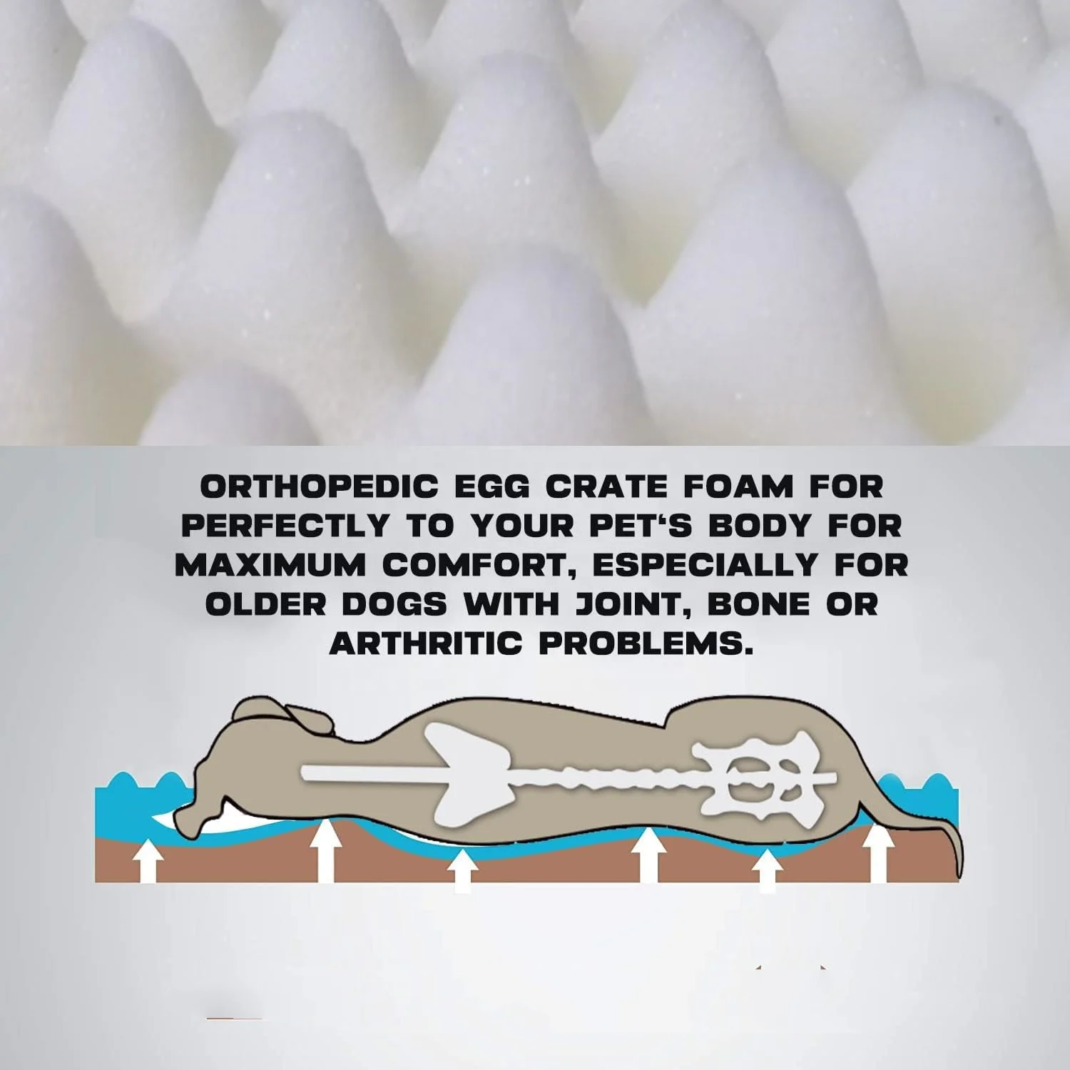 Dog Bed Mats Orthopedic Egg Crate Foam Dog Mat ,Waterproof Dog Pad with Washable Removable Cover