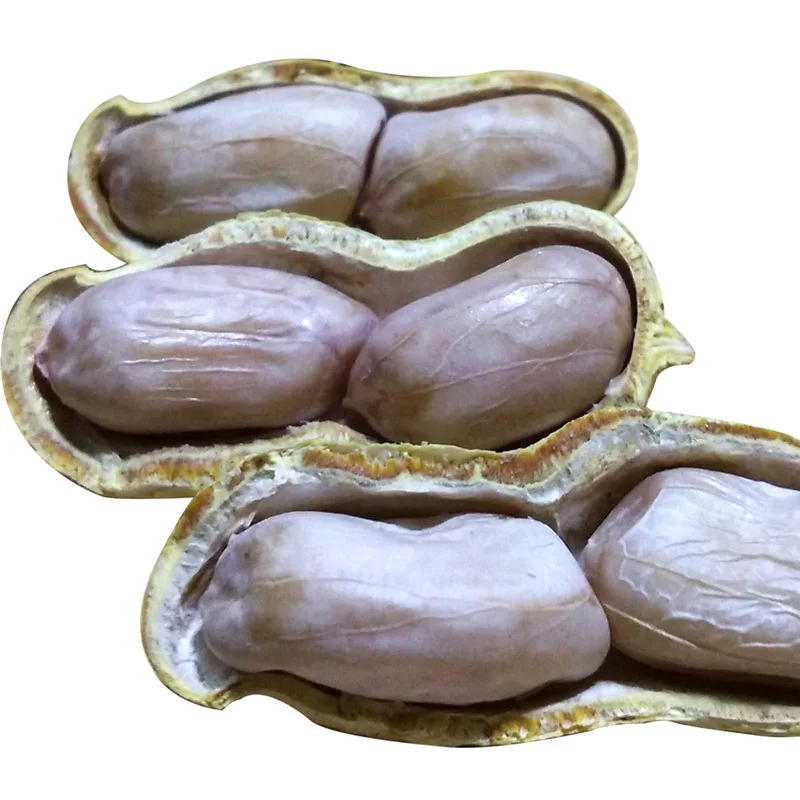 Высококачественный жареный арахис, арахис, ядра, китайский специальный приготовленный Арахис для захвата, вкусный арахис в индивидуальной упаковке