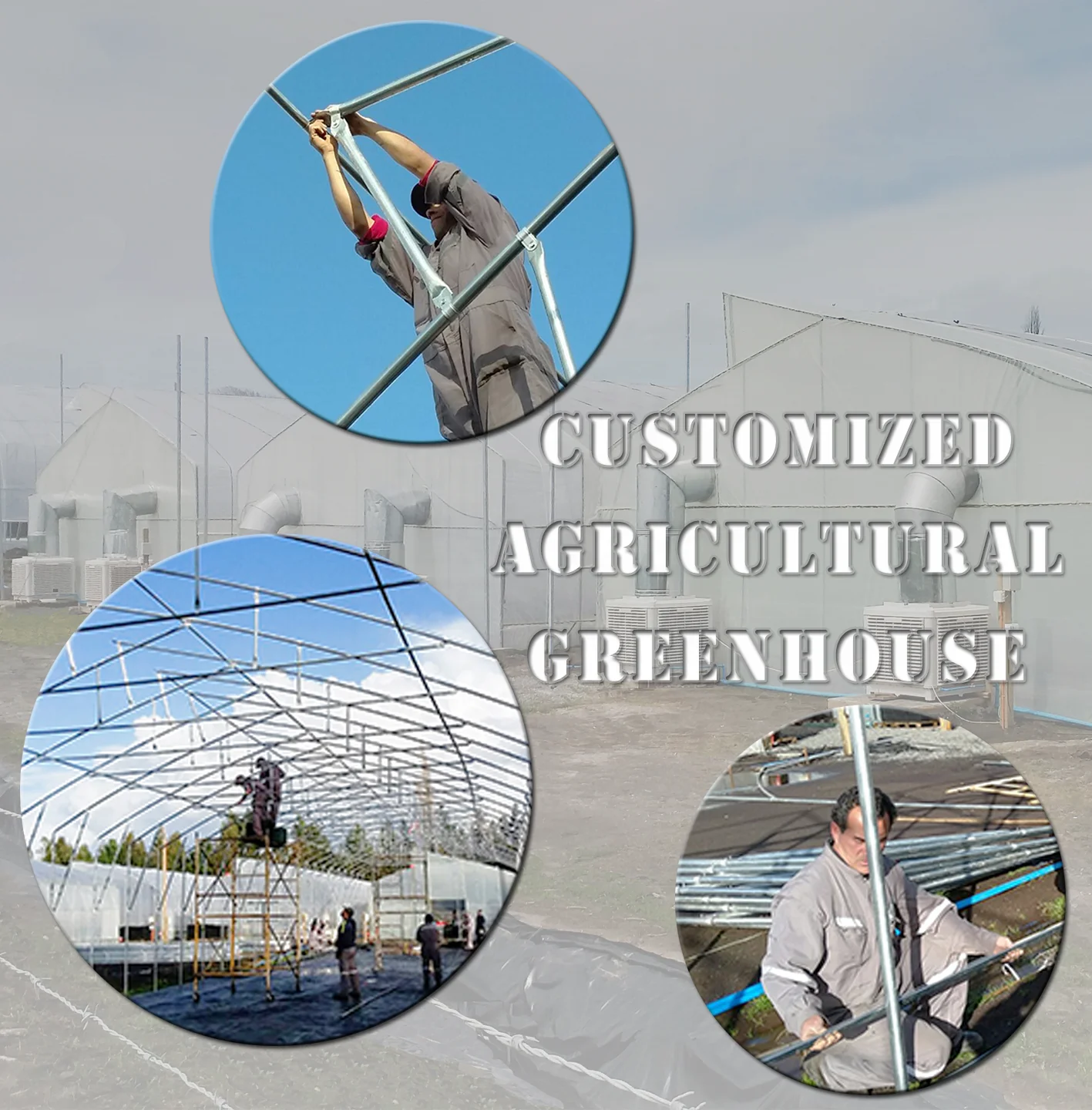 Cheap greenhouse frame tomato low cost greenhouse farming industrial tunnel greenhouse