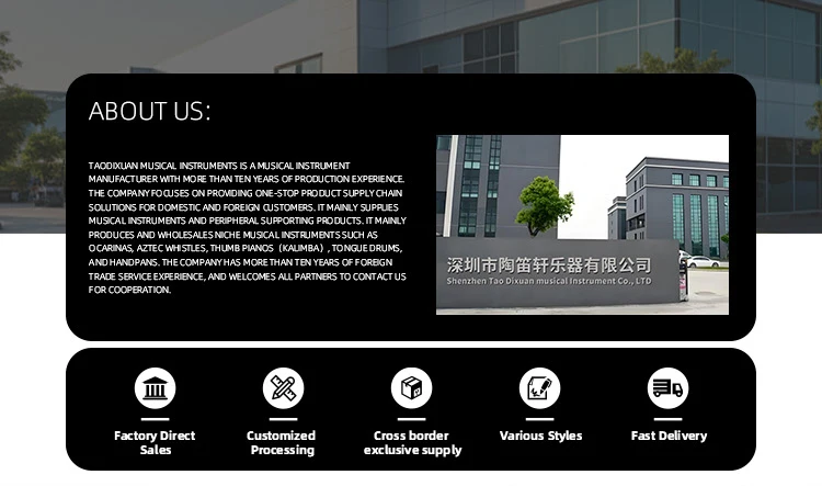 Percussion Musical Instruments for Sale Pocket Drums Kit 11 notes 12 Inch Handpan Tank Drum Steel Tongue Drum