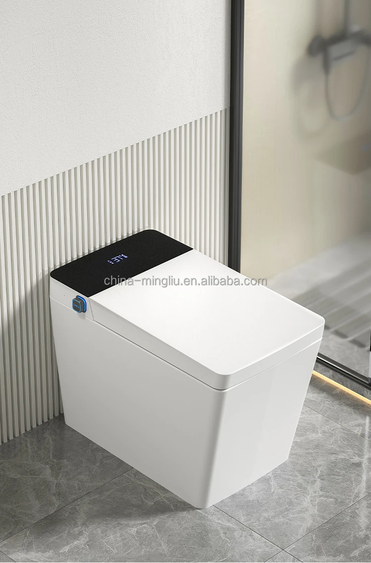 Modern Home Design Black Smart Toilet Business Room Smart Display Clamshell Toilet Mini-suite Bathroom Smart Flush Toilet