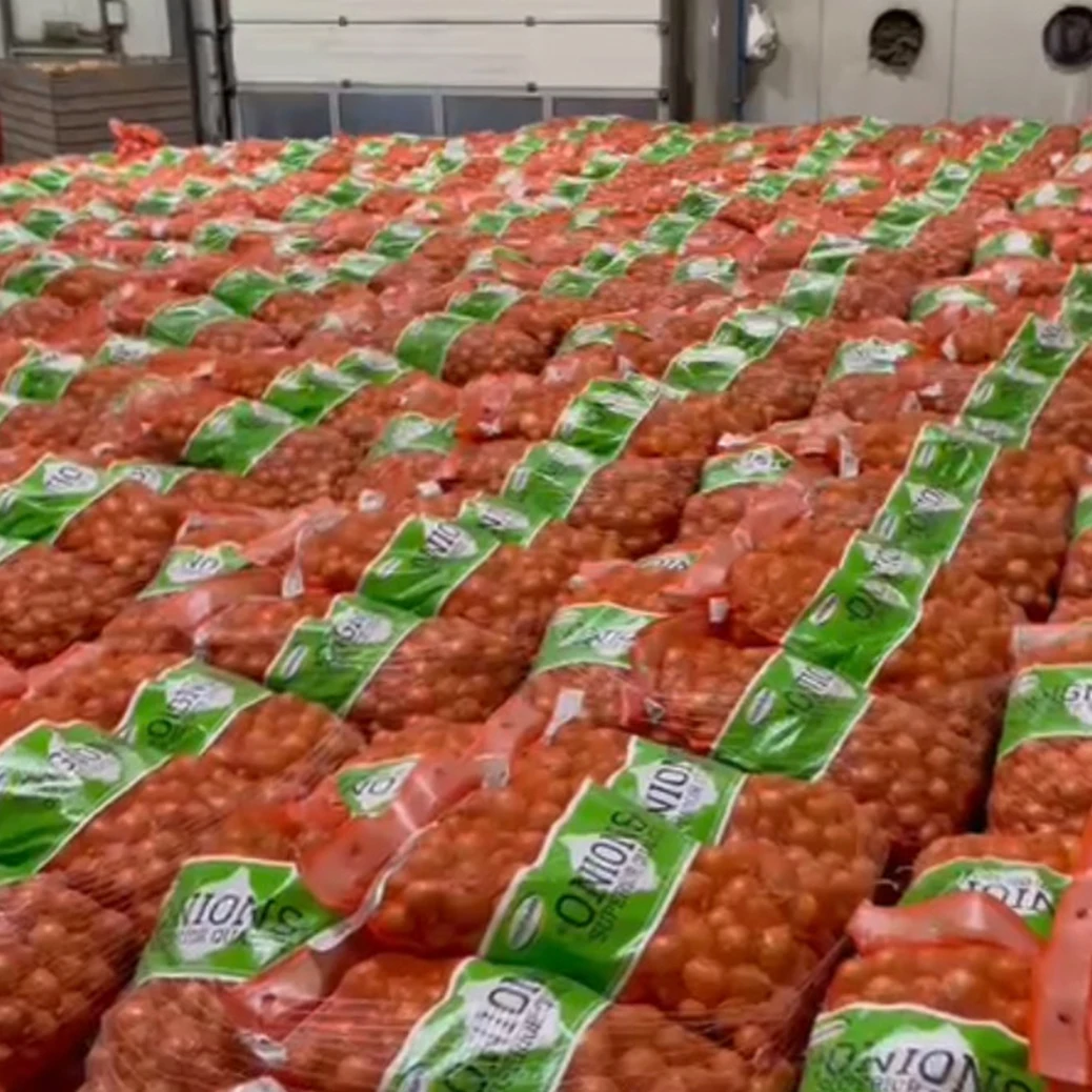 Fresh yellow onions Holland The Netherlands for wholesale private label sizes 50mm / 70mm 5 - 25kg bags best quality