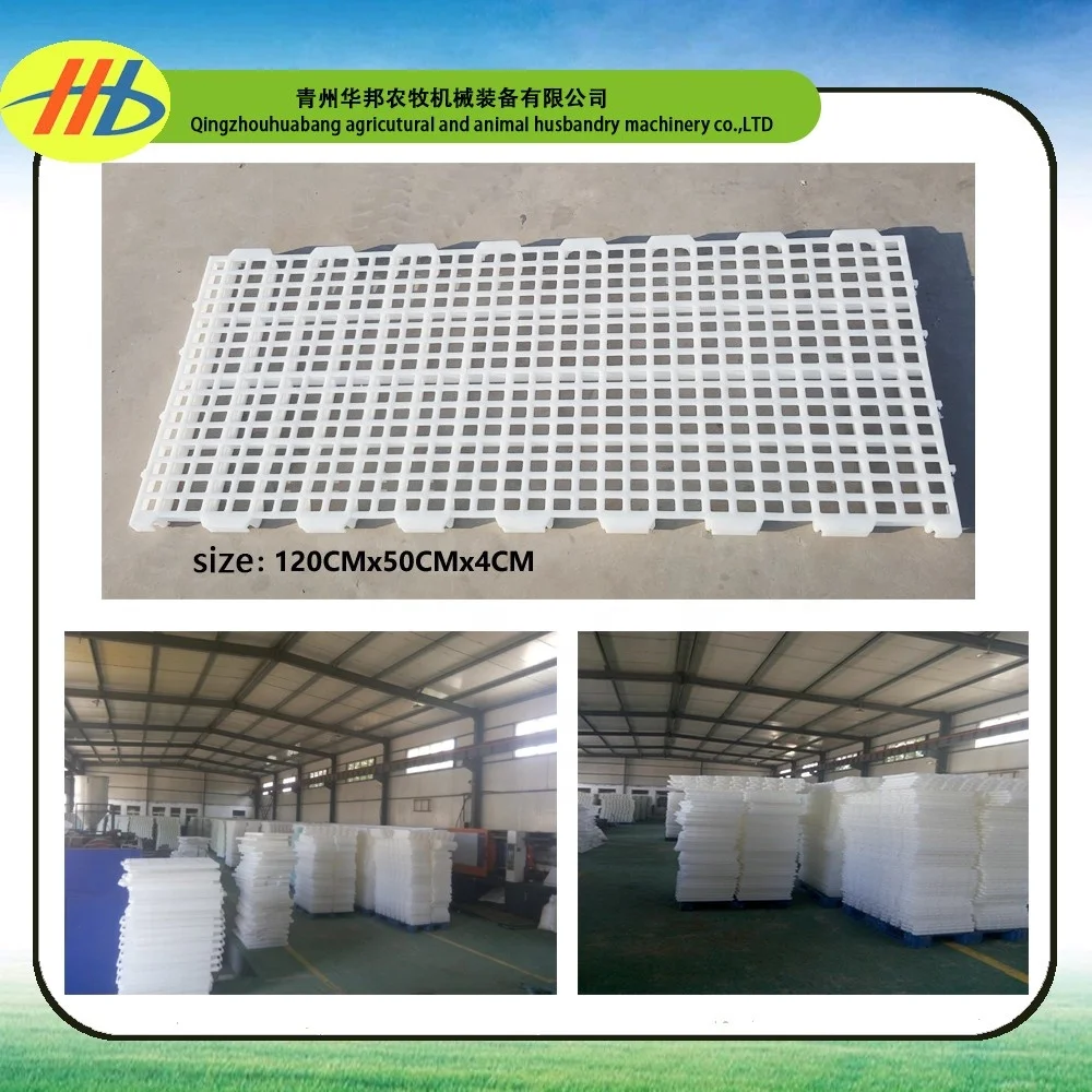 poultry farming plastic raised slat floor for broiler and breeder chicken farm house