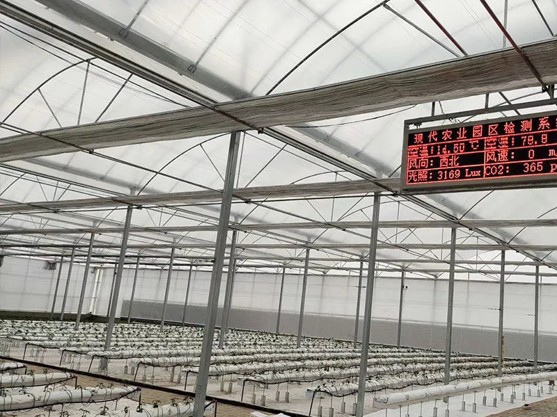 Low Cost Agricultural Greenhouse Multi-Span Plastic Film Greenhouse Tunnel Greenhouse For Sale