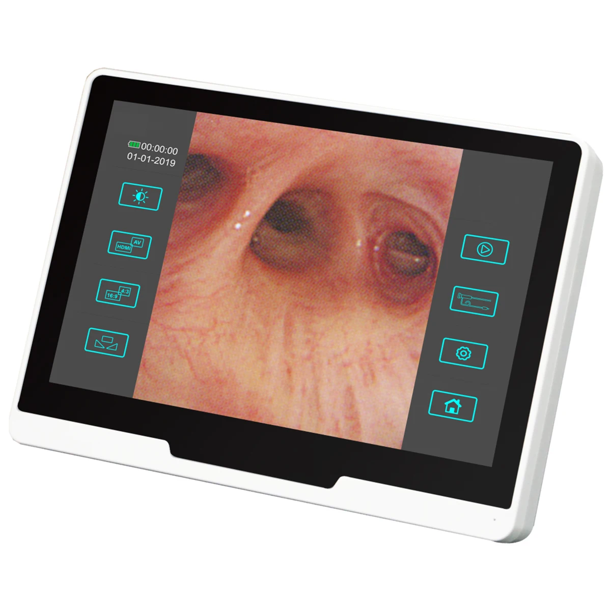 Endoscopy veterinary equipment 10 inch TFT touch screen portable Flexible Endoscope MSLGA285