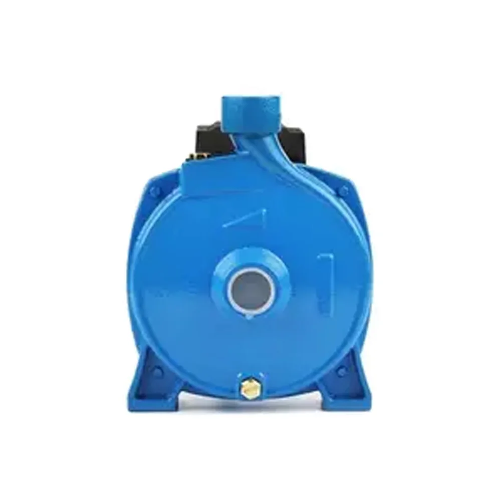 RUIQI 110L/min High Flow Pamp Surface Electric Bomba Centrifuga 1hp Bomba De Agua CPM158 750W Water Pump Pompe Bombas
