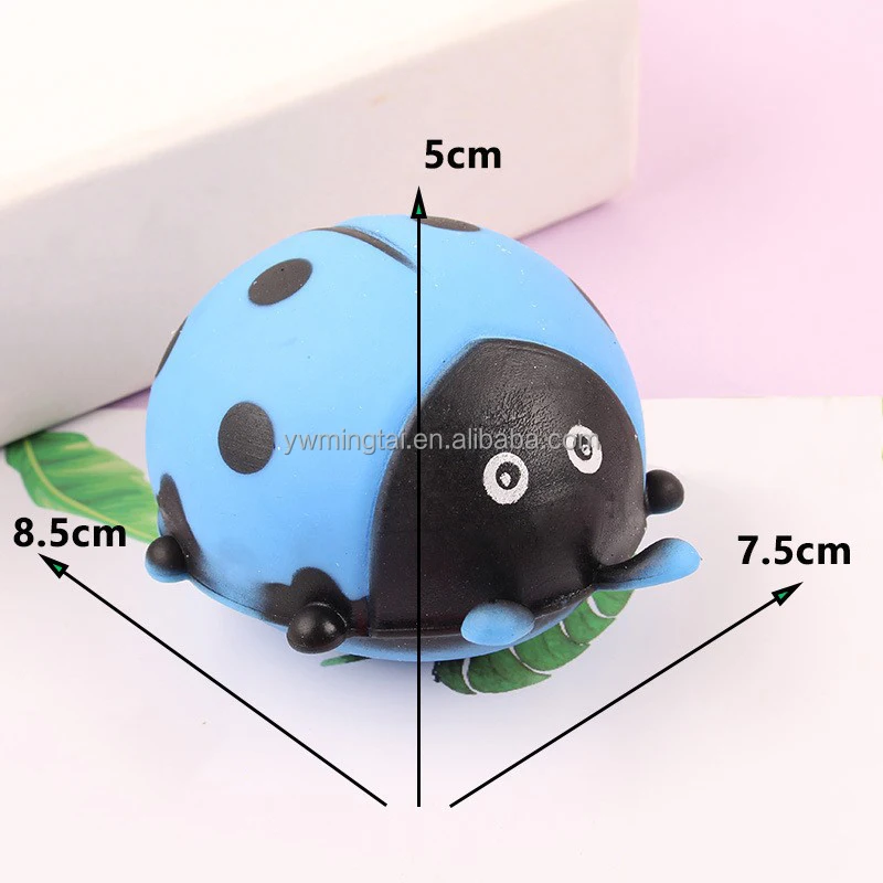 TPR ladybeetle (2).jpg