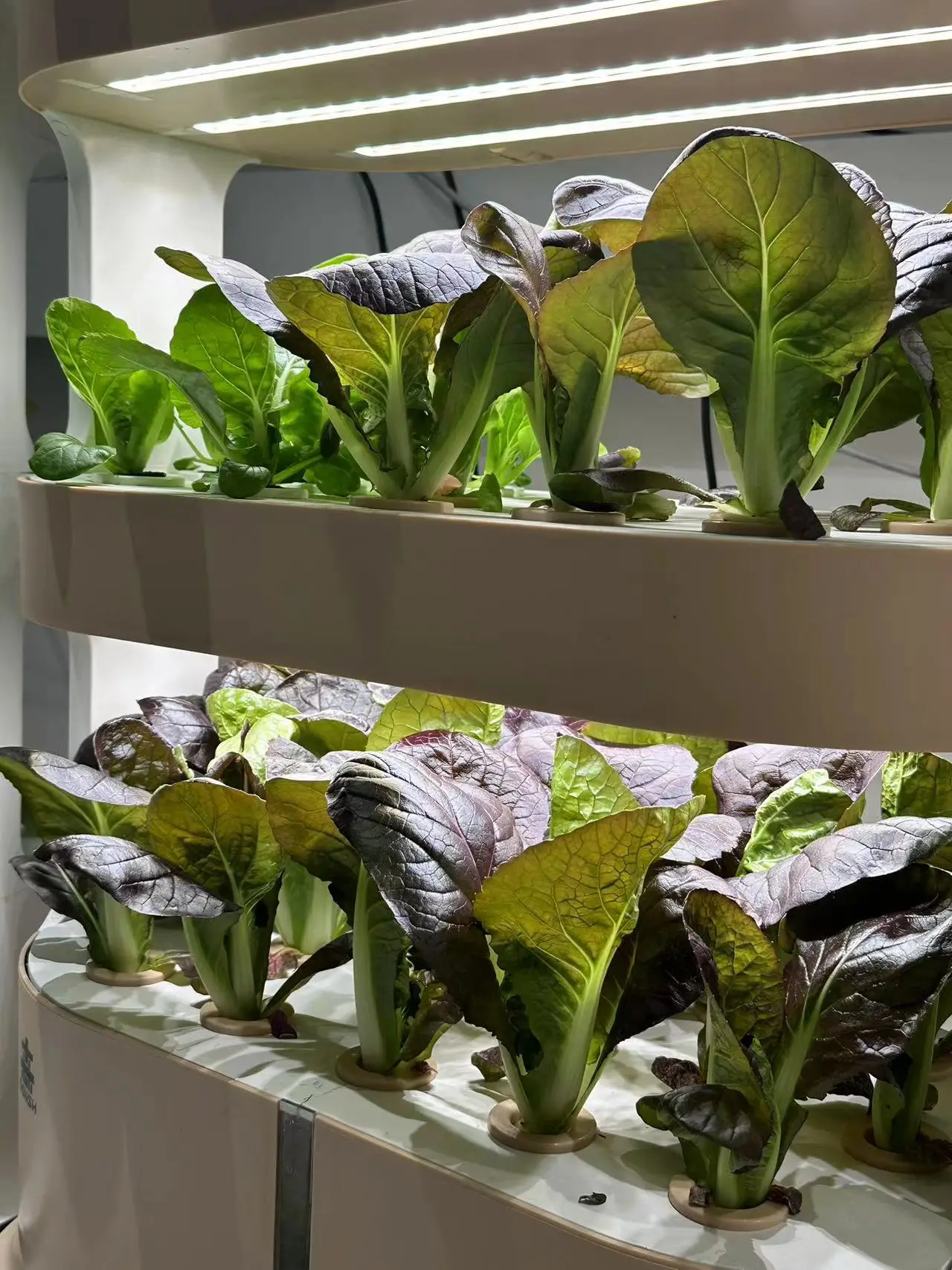China factory greenhouse Indoor soilless planting frame vegetable hydroponic system