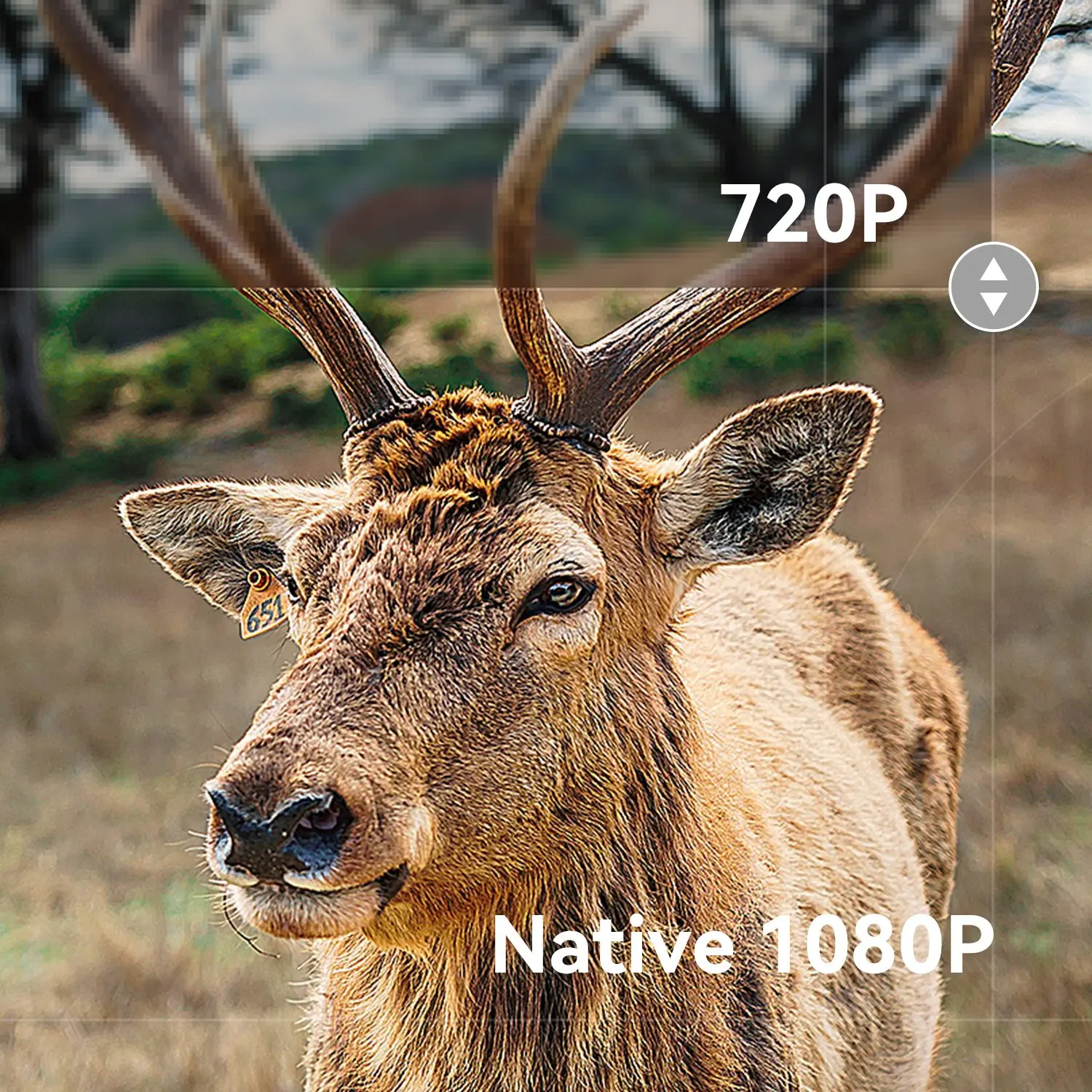 FOURTRY MH01 NEW 1080P Beamer - Android9 Smart Digital Keystone 50 degrees Super Powerful 10W Dual Speaker Home Cinema Projector