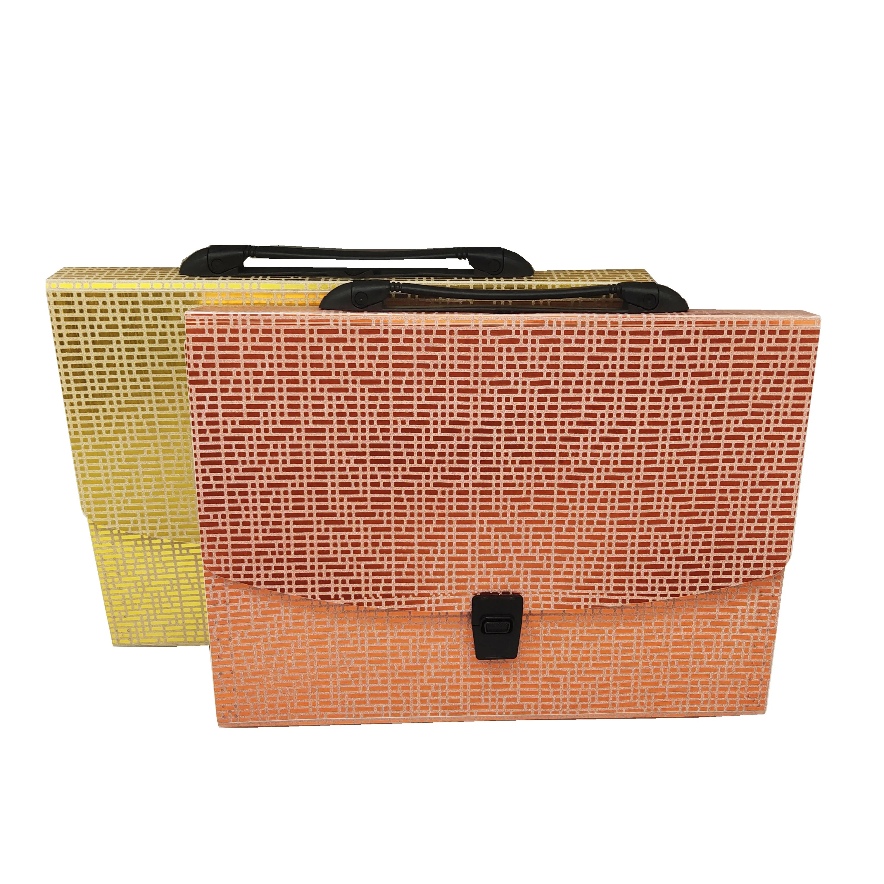 
Novelty Shiny Carry File Cases with Handle Plastic Expanding File Folder for A4 Paper 