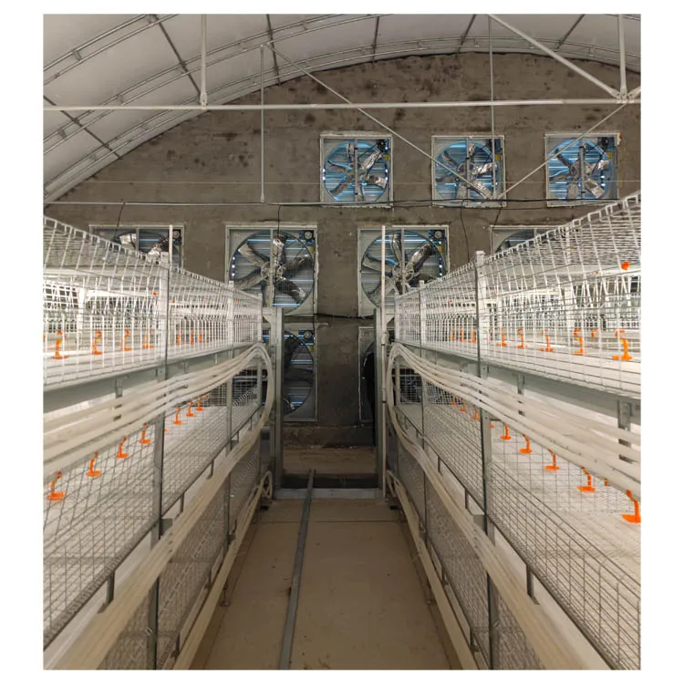 Commercial Farming Poultry Equipment Chicken Farm Broiler Cage H Type Broiler Chicken Cage for Automatic Manure Cleaning