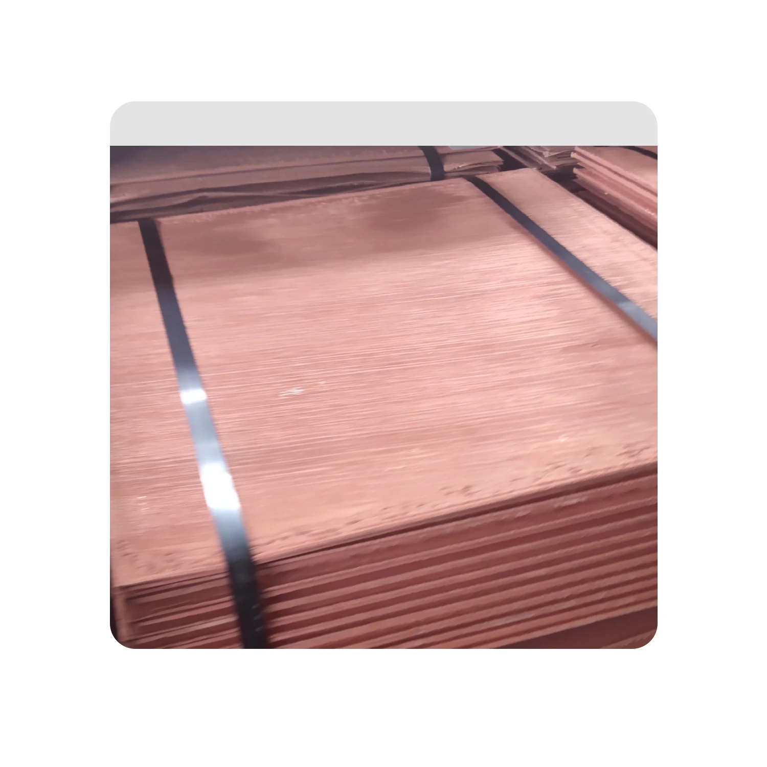 Дешевые цены медные катоды 99 прямой