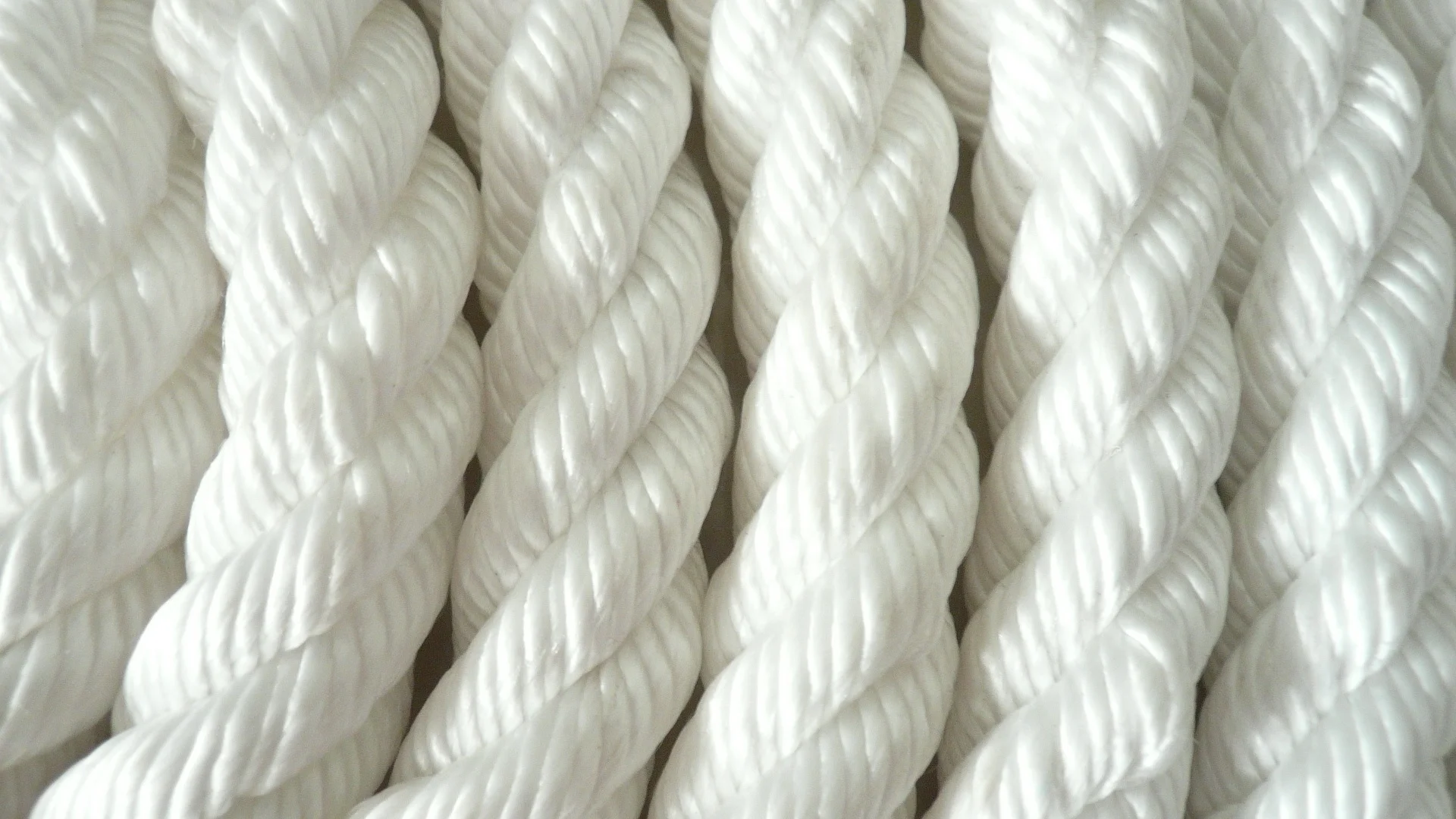  Белый Пограничный канат в крикете