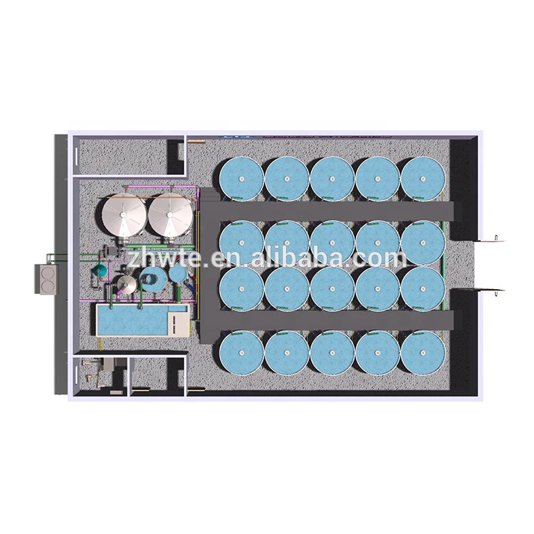 Китай Гуанчжоу завод zhonghang изготовленное на заказ Тилапия ras оборудование для рыбалки в помещении и сельского