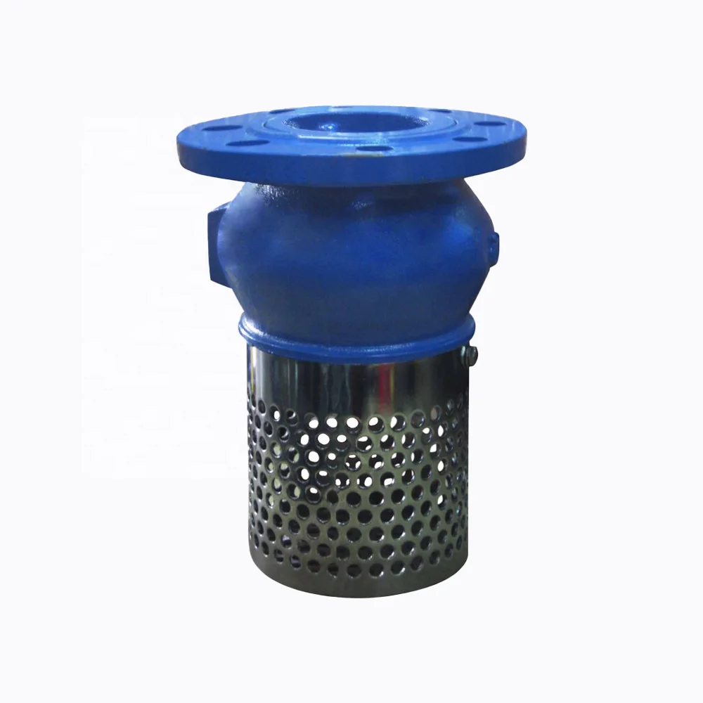 Casting Iron 6 Inch Water Pump Foot Valve