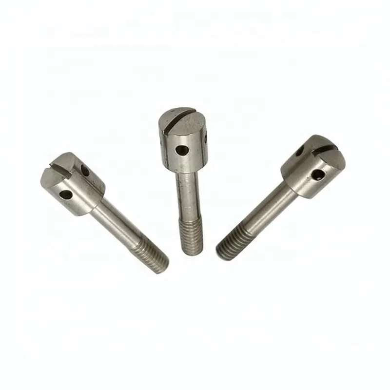 DIN404 Slotted Drilled Fillister Head Machine Threaded Sealing Screw Capstan Bolt