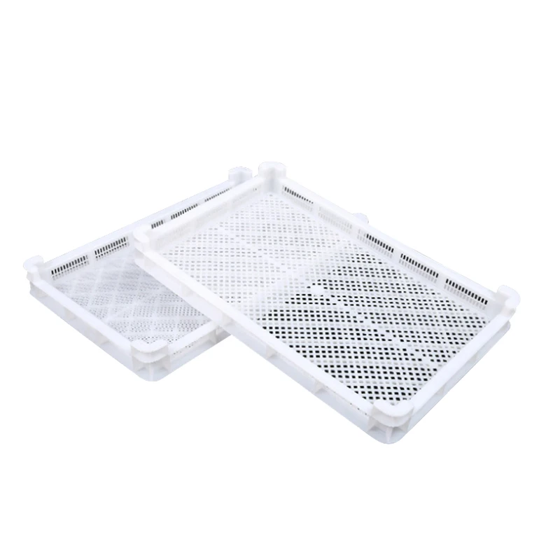 Plastic Drying Tray Large Plastic Drying Trays Plastic Stackable Food Drying Tray For Fruit Mushroom Vegetable Drugs Seafood