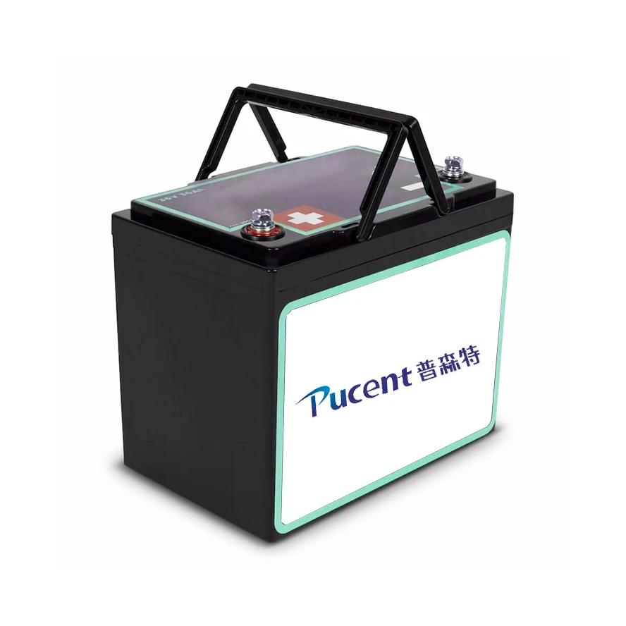 12v 24v 36v 48v 50ah Cheap Lifepo4 Batteries Vehicle Lithium Ion Battery 25ah 30ah 40ah BMS Battery Box Lifepo4