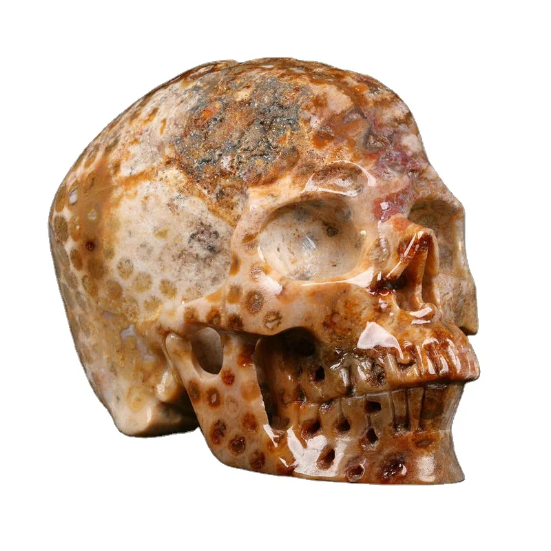 Mr skull оптовая продажа Высокое качество Кристалл Резьба Черепа Натуральный Коралл окаменелости яшмы черепа целебные кристаллы коллекция
