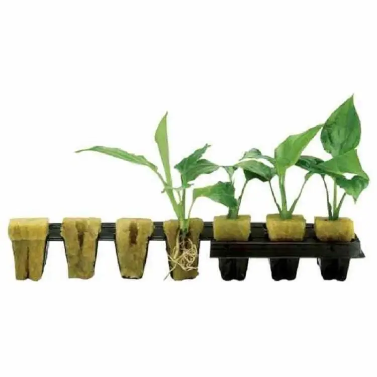  Недорогие кубики Skyplant из гидропонной ваты с отверстиями сельскохозяйственные поставщик