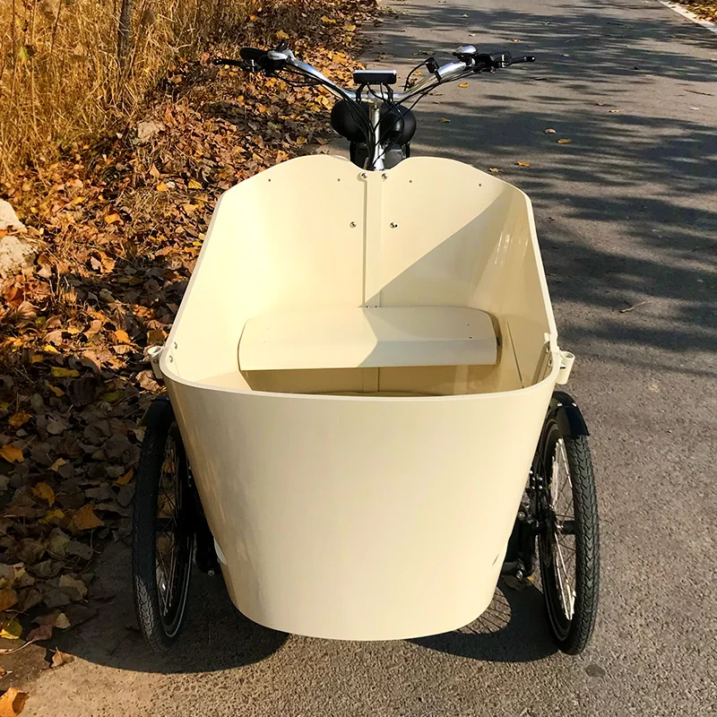Hot Sales Electric Bike 6-7 Speed Power Assist Tricycle Cargo Bike for Loading