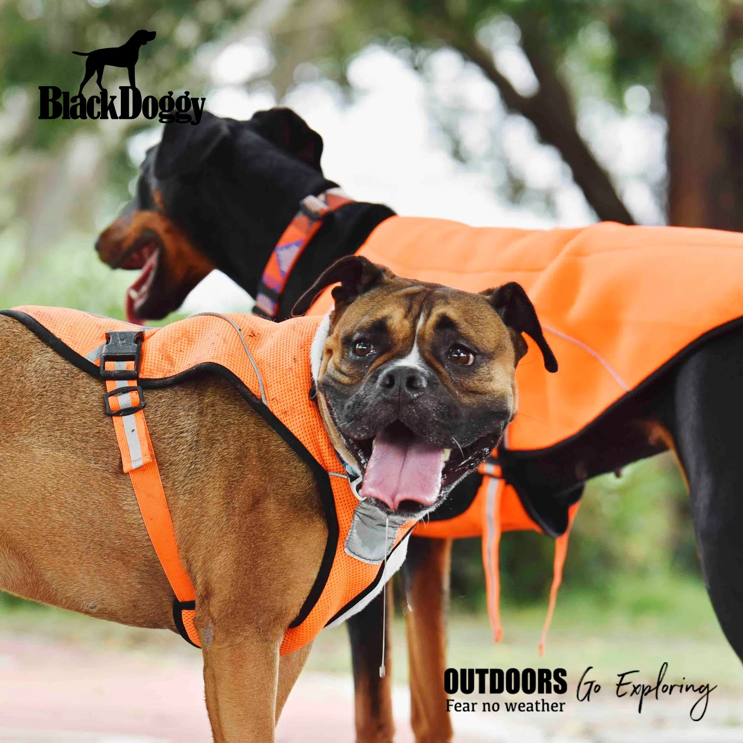 BlackDoggy Designer Large Dog Cooling Vest Pet Apparel for Summer Outdoor Adventure