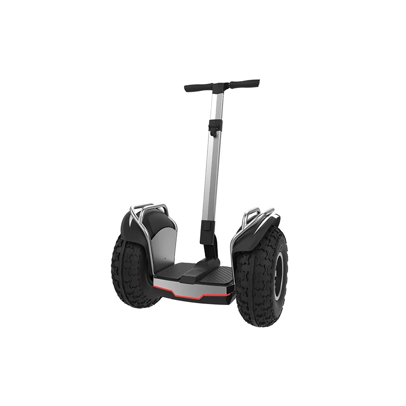 OEM 2 Wheels 20inch wheel Self Balancing Electric electric scooters powerful adult for sale 1500W*2dual motor