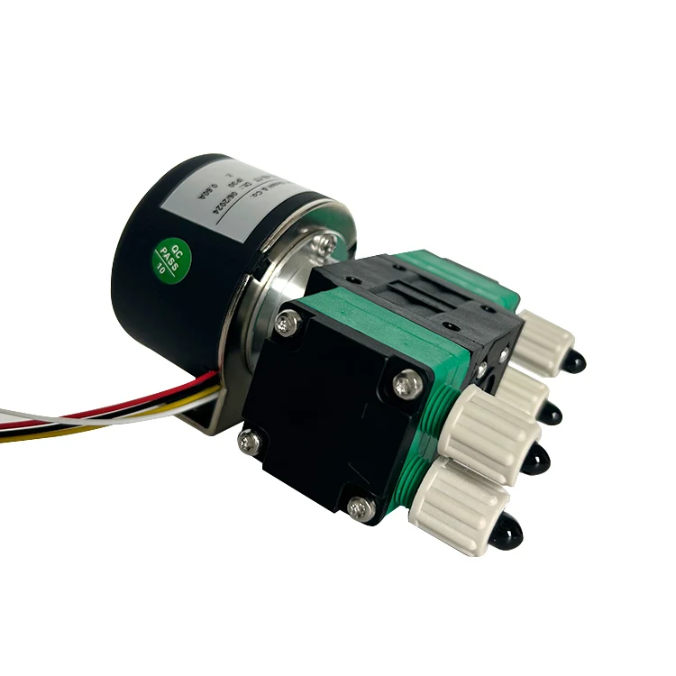 DC pump 12V/24v electric diaphragm pump car wash Marine