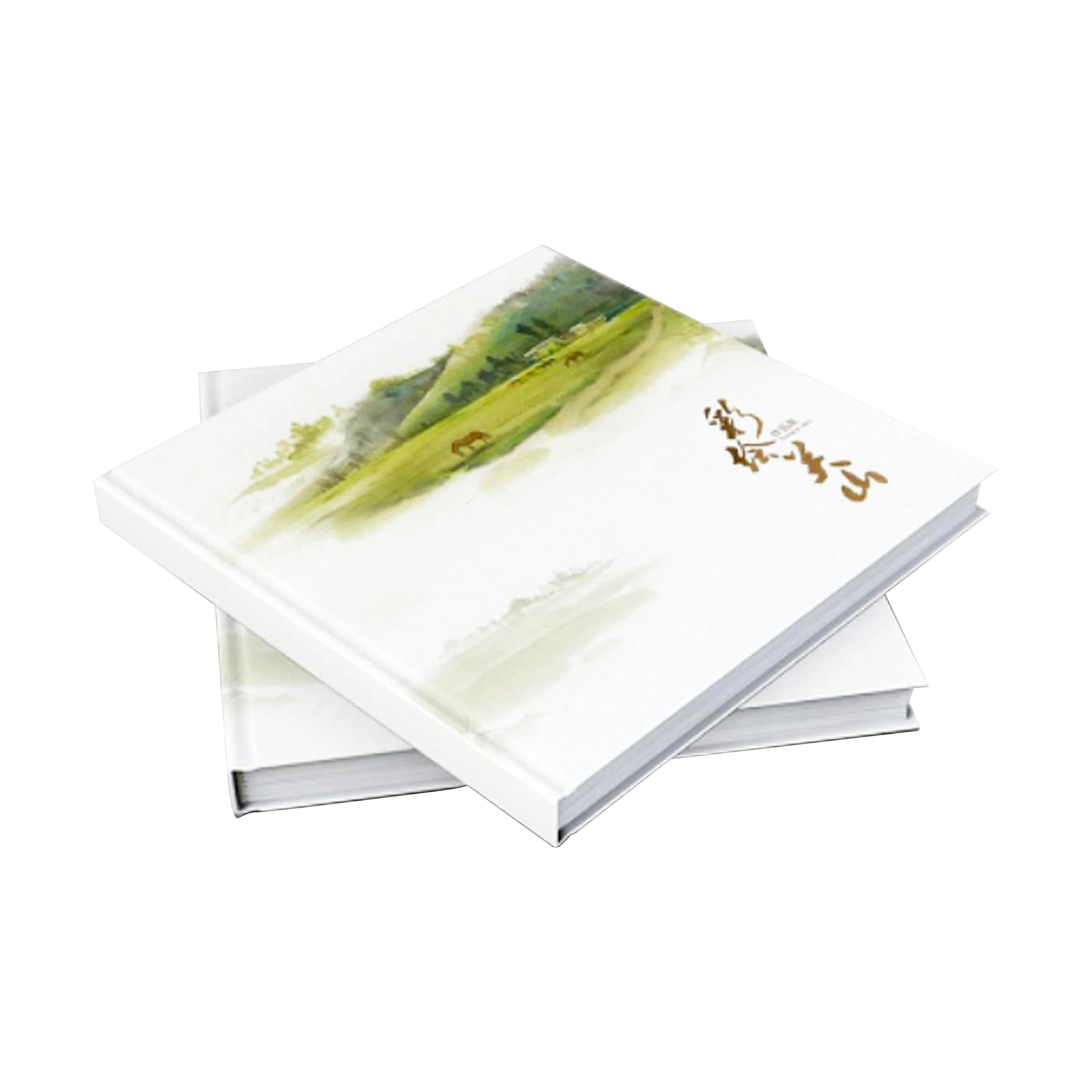 
Low Prince Custom Dl Flyer Printing A5 Postcard/booklet/flyer Printing 