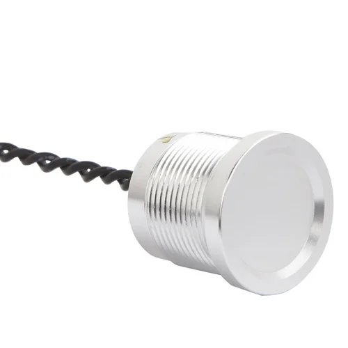 ELEWIND 19MM Metal  Piezo Push Switch (19mm,PS193Z10Y,Rohs,CE)