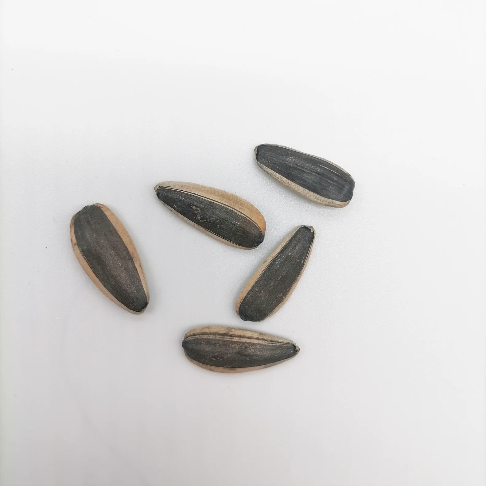 
New crop 361 Wholesale raw low price big size hulled sunflower seeds for sale 