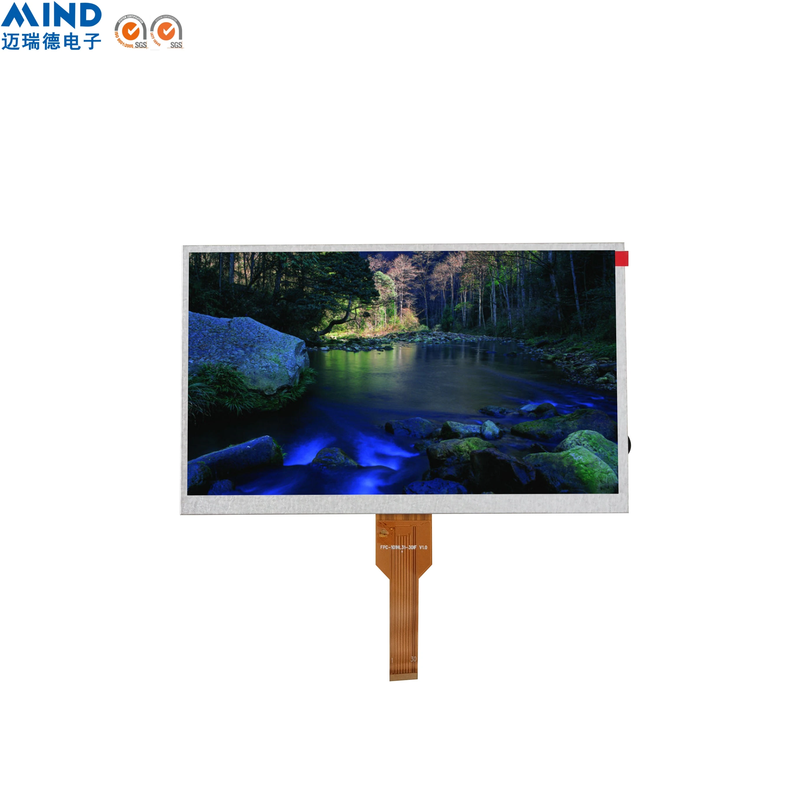 MIND Customized 10.1 inch 16.7M full color IPS Screen TFT LCD ODM OEM MIPI Interface liquid crystal display LCM module