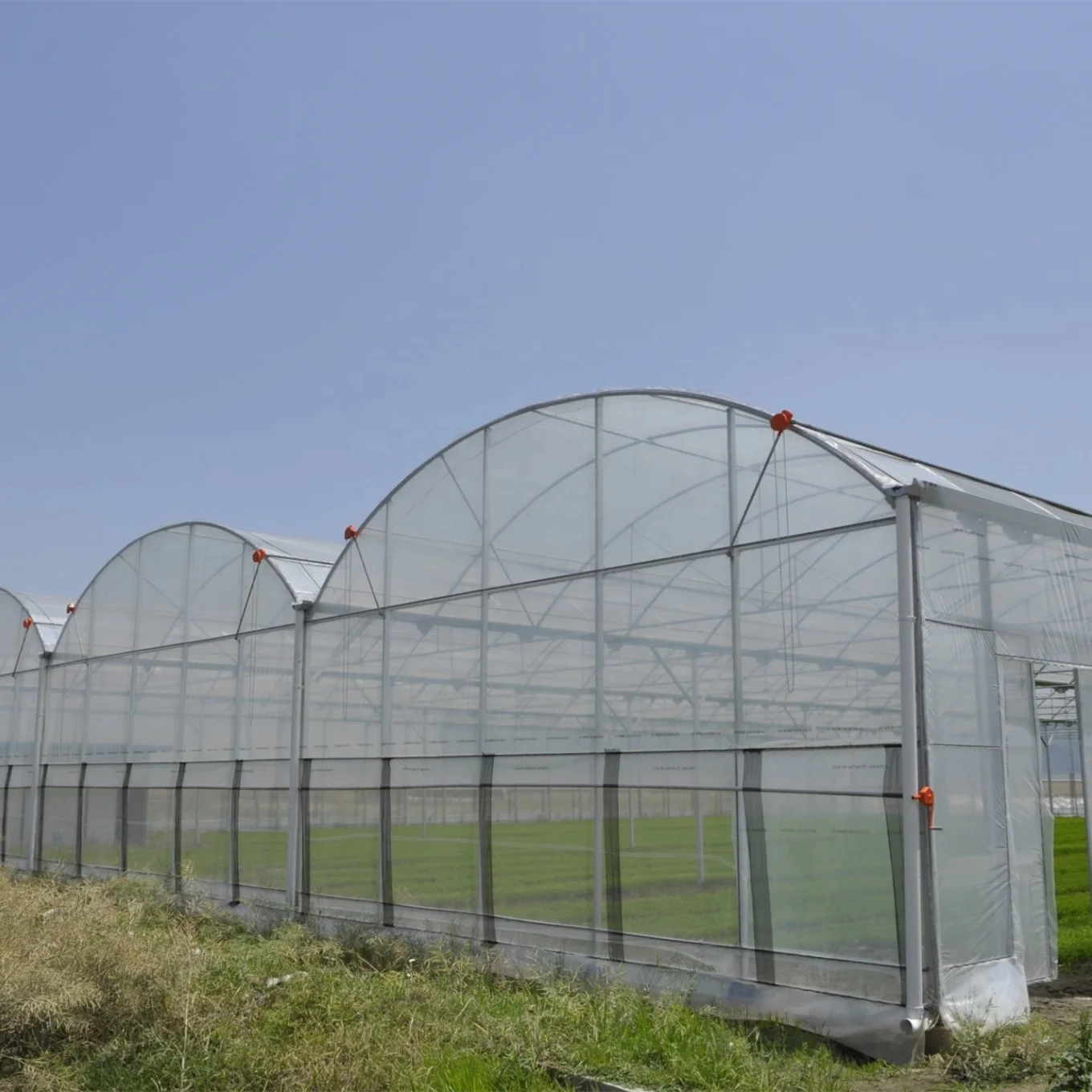 Vertical Farming  Automatic Hydroponics Plastic Film Multi-span Greenhouse With Indoor Hydroponics System